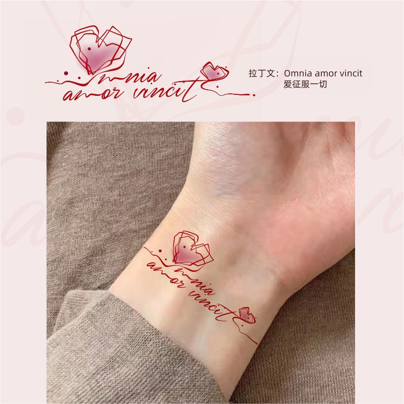 DaLin 10 Sheets Temporary Tattoos for Men Women  Latin Qutoes